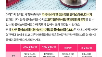 건강건진 그리고 콜레스테롤 수치와 간수치