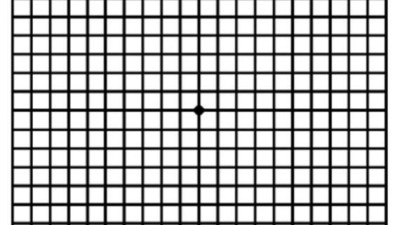 실명질환 예방.. 암슬러 격자 테스트